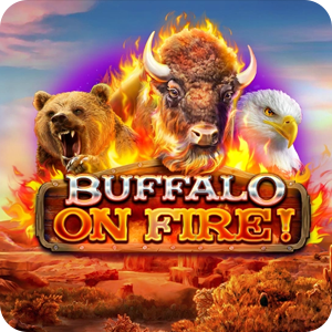 BUFFALO ON FIRE!